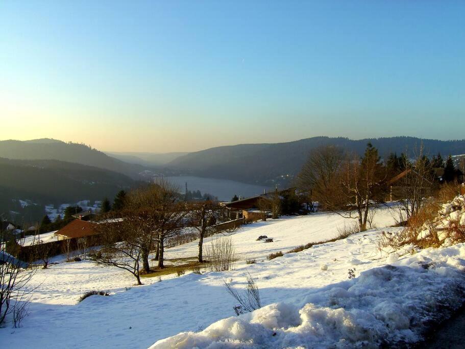 Gerardmer Centre - Studio Au Pied Du Lac Grande Terrasse Exterior foto